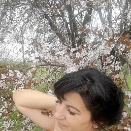 ������, ��������-��-������, 46 ���