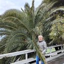 ���� ���������, �����, 56 ��� - ��������� 19 ��� 2025 � ������ ���� ����������