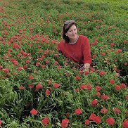 �������, 55 ���, ���������