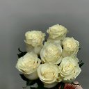 ���� ����, ������, 47 ��� - ��������� 15 ������ 2026 � ������ ���� ����������