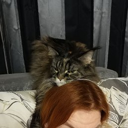 , 49, 
