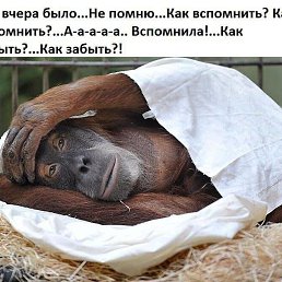 ���� ������, �����������, 47 ��� - ��������� 5 ������ 2024