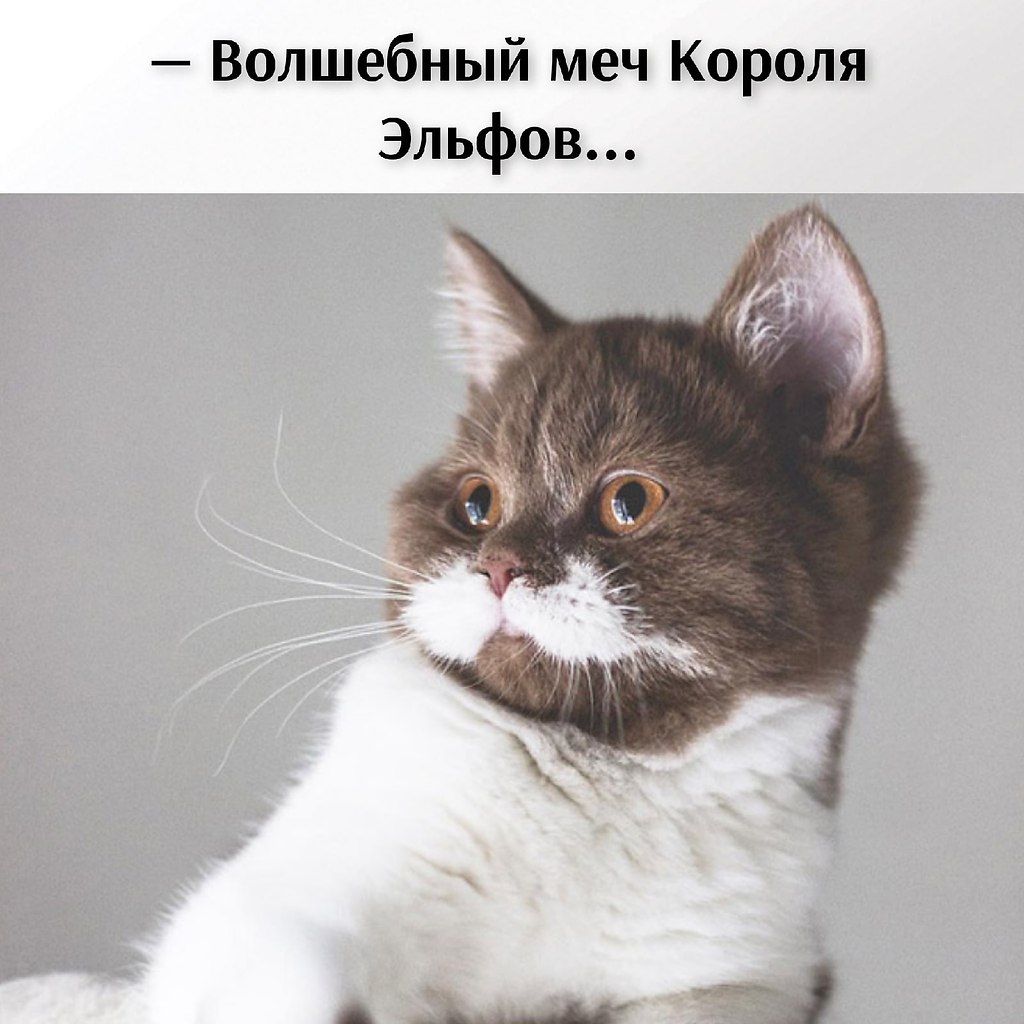 ��� ���� � ����� �� �� - 22 ������ 2026 � 20:42 - 4