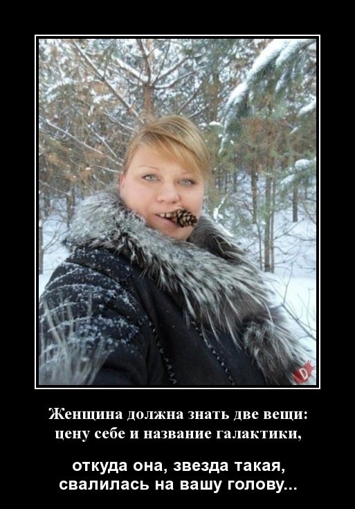 ������ - 24 ������ 2026 � 03:58