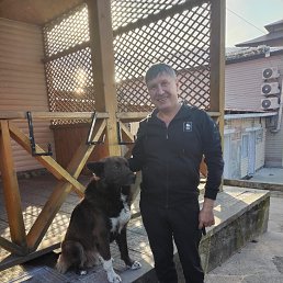 , 53, 