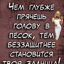 ���� ����, ���, 46 ��� - ��������� 22 ������� 2024 � ������ �� ������ �� ����Ȼ
