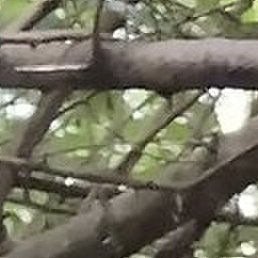 ������, ����, 56 ���