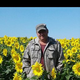 ������, ������, 55 ���