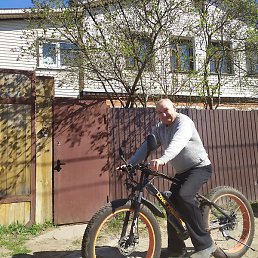 ������, ������, 65 ���