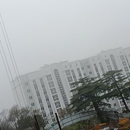 Donyor, ������, 26 ���