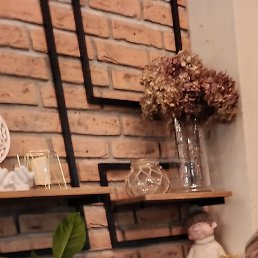 ������, �����-���������, 43 ����