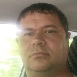 �������, �����������, 43 ����