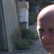 ������, 50 ���, ������