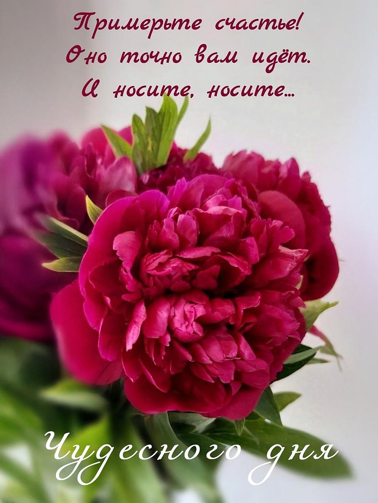  ,    . - 15  2025  12:02