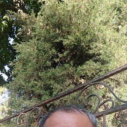 , 46, 