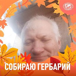 �������, ��������, 60 ���