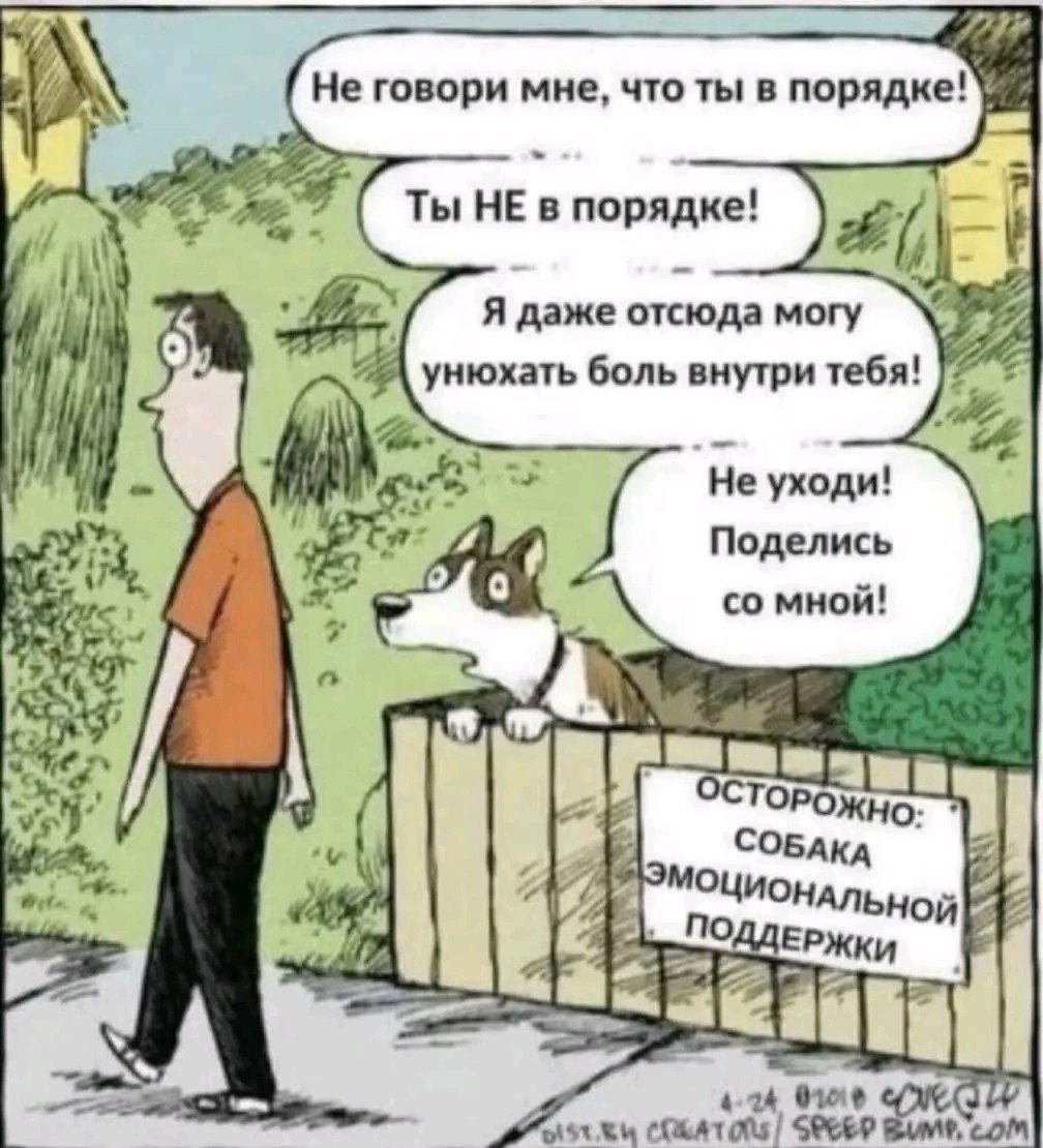  - 5  2024  16:03