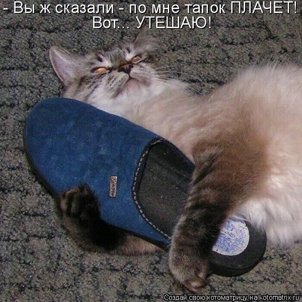   - 15  2023  11:06
