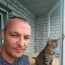 ���� ����, ������, 41 ��� - ��������� 9 ��� 2025 � ������ ���� ����������