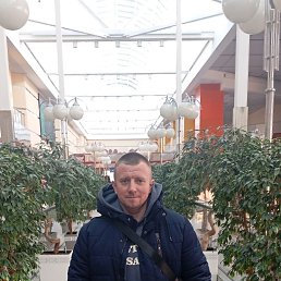 ���� ��������, �����, 36 ��� - ��������� 1 ����� 2026