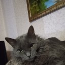 ���� ����, ������ - ��������� 29 ����� 2026 � ������ ���� ����������