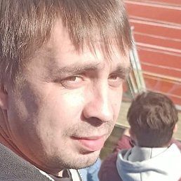 �������, �����-���������, 40 ���