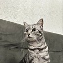 ���� �����, ������, 49 ��� - ��������� 20 ������ 2023