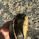 ���� ����, ���������, 24 ���� - ��������� 2 �������� 2026 � ������ ���� ����������