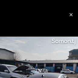 �����, ������, 31 ���