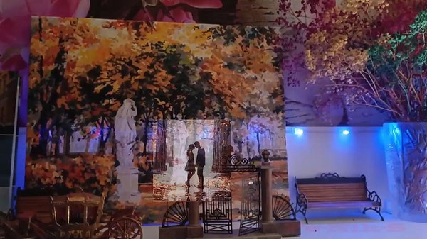 �����������