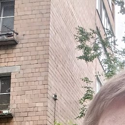 �����, ��������, 22 ����