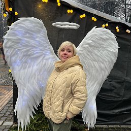 ���� �������, �����������, 55 ��� - ��������� 20 ������� 2026