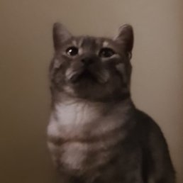 ������, ������, 64 ����