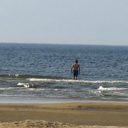 �, ������