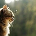 ���� ����, �������, 31 ��� - ��������� 7 ������� 2024 � ������ ���� ����������