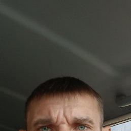 ���� �������, �������, 41 ��� - ��������� 2 ������ 2026