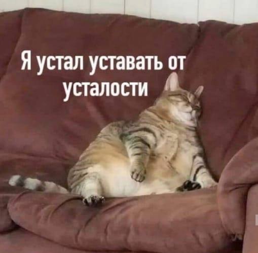    - 29  2024  14:19