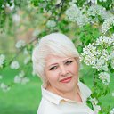 ���� �������, ���� - ��������� 20 �������� 2025 � ������ ���� ����������