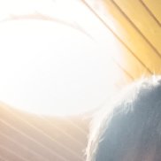 �����, 32 ����, �������