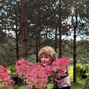 ���� ����, �����-���������, 62 ���� - ��������� 1 ������� 2025 � ������ ���� ����������