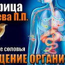 ���� ����, ������-��-����, 54 ���� - ��������� 28 ������ 2024
