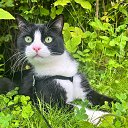 ���� �����, ����, 71 ��� - ��������� 12 ������ 2025 � ������ ������ ��������