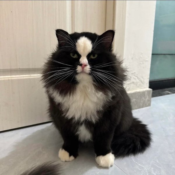    (2022)    (2025) - 3