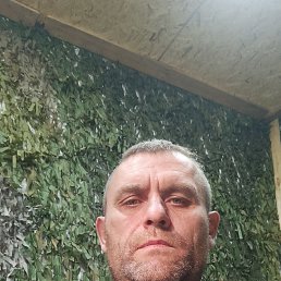 , 42, 