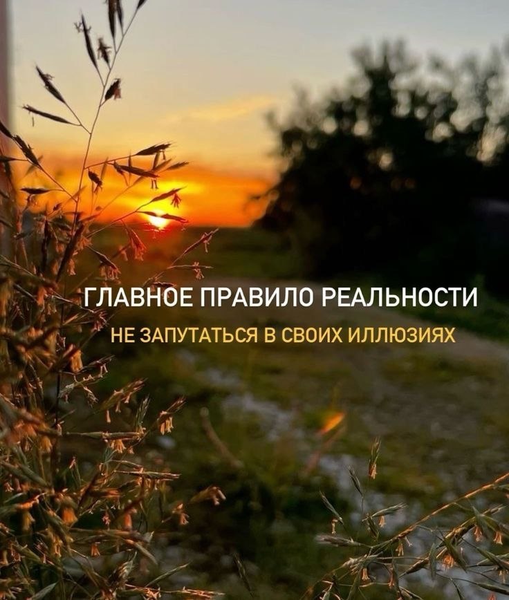 ������������ �� �������... - 12 ������� 2025 � 20:22