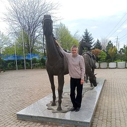 , 56, 