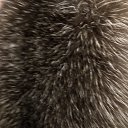 ���� �������, ������� - ��������� 8 ������ 2024 � ������ ���� ����������