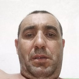 , , 41 