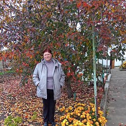 �������, ���������