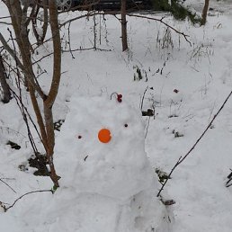 ���� �����, ������, 40 ��� - ��������� 3 ������ 2023